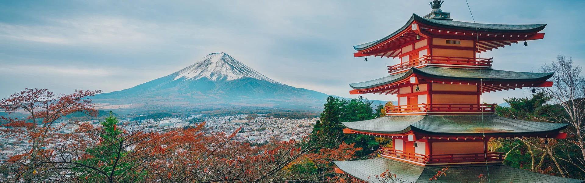 Japonés Jose